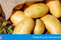 Những người không nên ăn khoai tây