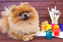 Tuần mới (23/1 - 29/1/2023): top 3 con giáp khởi sắc, tiền bạc đầy ắp