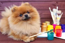 Tuần mới (23/1 - 29/1/2023): top 3 con giáp khởi sắc, tiền bạc đầy ắp