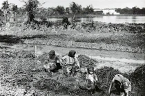 Ảnh cực hiếm về phụ nữ nông thôn Việt Nam hơn 100 năm trước