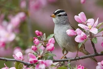 Sinh tháng Âm lịch này, phúc từ trên trời rơi xuống