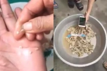 Kết quả kiểm nghiệm mẫu “thịt gà nát” tại trường mầm non ở Bắc Ninh