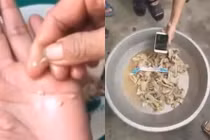 Kết quả kiểm nghiệm mẫu “thịt gà nát” tại trường mầm non ở Bắc Ninh