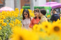 "Khu nhà giàu" Phú Mỹ Hưng tấp nập người check-in đường hoa Tết