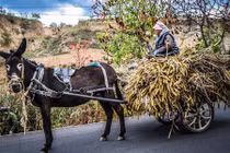 Lái xe cổ rong ruổi khắp miền quê Trung Quốc 