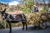 Lái xe cổ rong ruổi khắp miền quê Trung Quốc 