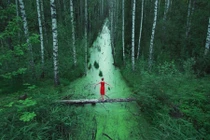 Ngất ngây những bức ảnh đẹp không cần photoshop