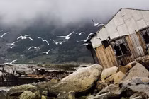 Chiêm ngưỡng loạt ảnh đẹp vùng đồng quê Nga 