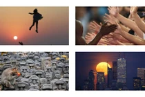 20 bức ảnh gây bão trong năm 2015