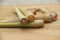 Bài thuốc phòng, chữa bệnh đường hô hấp 