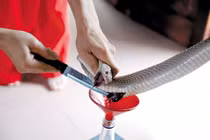 Tăng tử vong nếu uống tiết rắn trị ung thư 