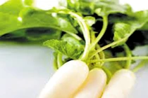 Củ cải hỗ trợ điều trị ung thư