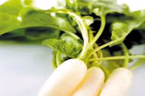 Củ cải hỗ trợ điều trị ung thư