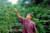 Chăm cây cảnh, thư tâm hồn giúp sống khỏe