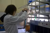 Nhà khoa học trẻ VN chế thành công vật liệu khử thuốc trừ sâu