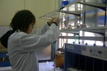 Nhà khoa học trẻ VN chế thành công vật liệu khử thuốc trừ sâu