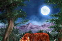 Lý giải chuyện hổ săn mồi dưới ánh trăng mờ