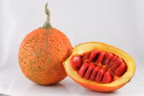 Gấc chứa chất ngăn ung thư