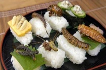 Có nên khuyến khích ăn côn trùng?