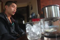 “Vườn cà phê” lạ lùng nhất Ban Mê