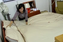 Phát hoảng vì vi khuẩn, côn trùng trú ẩn ở đệm