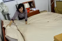 Phát hoảng vì vi khuẩn, côn trùng trú ẩn ở đệm