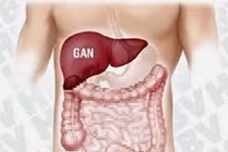 Triệu chứng viêm gan