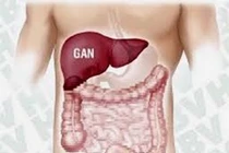 Triệu chứng viêm gan