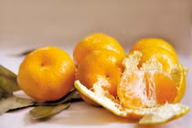 Vỏ quýt chữa bệnh