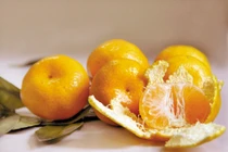 Vỏ quýt chữa bệnh