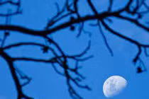 Tại sao ban ngày vẫn thấy được Mặt Trăng?