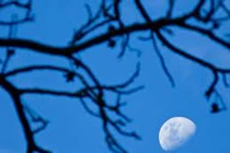 Tại sao ban ngày vẫn thấy được Mặt Trăng?