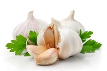 Ăn tỏi sống giảm 44% nguy cơ ung thư phổi