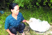 “Đá thần” chữa đau ngực phụ nữ nóng dư luận Hà Tĩnh