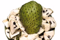 Khôn lường trị ung thư bằng mãng cầu xiêm