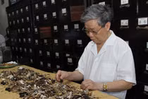 7 vị thuốc chữa khỏi viêm mũi dị ứng 