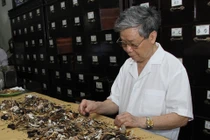 7 vị thuốc chữa khỏi viêm mũi dị ứng 