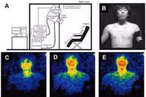 Con người phát ra ánh sáng?