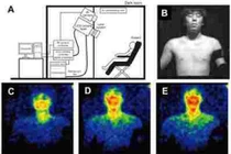 Con người phát ra ánh sáng?