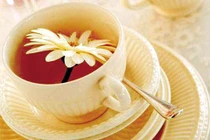 Trà hoa trị viêm gan virus