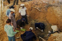 Ngoại cảm: Khảo nghiệm 400, công nhận 10