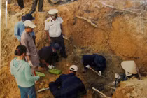 Ngoại cảm: Khảo nghiệm 400, công nhận 10