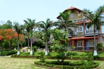 Lưu ý khi trồng cây xanh trong vườn nhà