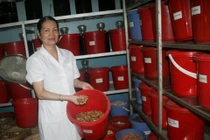 Bài thuốc bí ẩn của người đàn bà Sán Dìu