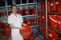 Bài thuốc bí ẩn của người đàn bà Sán Dìu