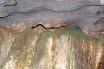 Bí ẩn “trăn tu” 700 tuổi gác bia Ma Nhai