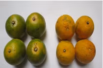 Bảo quản quả có múi không dùng hóa chất