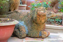 Loạt tượng “dị” trong ngôi nhà cổ trăm tuổi ở Hà Thành