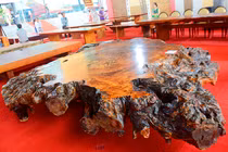 Siêu phản gốc cây hơn tỷ đồng khiến đại gia Việt phát sốt