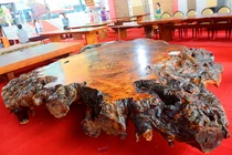 Siêu phản gốc cây hơn tỷ đồng khiến đại gia Việt phát sốt